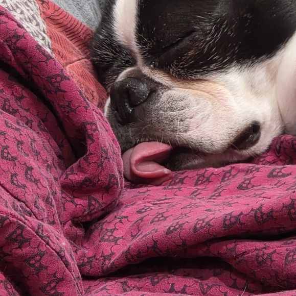 Hello Everyone 🥰💎❤️💖⚘️💍🥂 - Picture 12 of 17